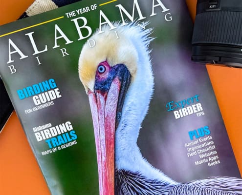 Davis Direct is your trusted local commercial printing and fulfillment partner with over 60 years of experience.